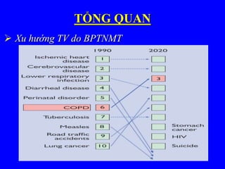 TỔNG QUAN
 Xu hướng TV do BPTNMT
 