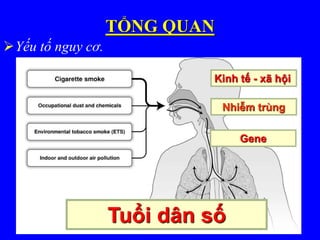 TỔNG QUAN
Yếu tố nguy cơ.
Kinh tế - xã hội
Nhiễm trùng
Gene
Tuổi dân số
 