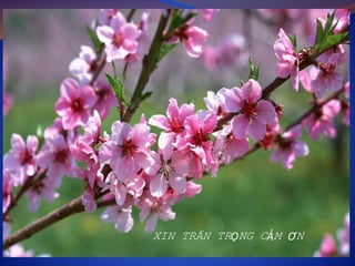 XIN TRÂN TRỌNG CẢM ƠN
 