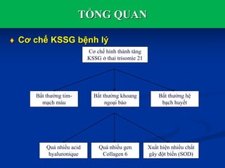 TỔNG QUAN
 Cơ chế KSSG bệnh lý
Cơ chế hình thành tăng
KSSG ở thai trisomie 21
Bất thường tim-
mạch máu
Bất thường khoang
ngoại bào
Bất thường hệ
bạch huyết
Quá nhiều acid
hyaluronique
Quá nhiều gen
Collagen 6
Xuất hiện nhiều chất
gây đột biến (SOD)
 