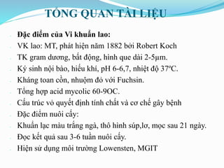 TỔNG QUAN TÀI LIỆU
- Đặc điểm của Vi khuẩn lao:
- VK lao: MT, phát hiện năm 1882 bởi Robert Koch
- TK gram dương, bất động, hình que dài 2-5µm.
- Ký sinh nội bào, hiếu khí, pH 6-6,7, nhiệt độ 37ºC.
- Kháng toan cồn, nhuộm đỏ với Fuchsin.
- Tổng hợp acid mycolic 60-9OC.
- Cấu trúc vỏ quyết định tính chất và cơ chế gây bệnh
- Đặc điểm nuôi cấy:
- Khuẩn lạc màu trắng ngà, thô hình súp,lơ, mọc sau 21 ngày.
- Đọc kết quả sau 3-6 tuần nuôi cấy.
- Hiện sử dụng môi trường Lowensten, MGIT
 