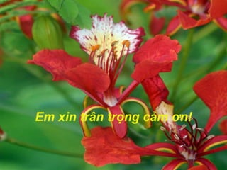 KẾT LUẬN
Phương pháp phá thai
♦ Tỷ lệ thành công của phá thai là 96,1%
cho kết quả khám lại là tốt
♦ Không có tai biến nặng nề xảy ra, có 3,66% có sót rau hay
nhiễm khuẩn cần xử trí
♦ Có 1,67% đối tượng không sử dụng BPTT sau phá thai
♦ 88,67% khách hàng hài lòng với dịch vụ phá thai tại trung tâm
Em xin trân trọng cảm ơn!
 