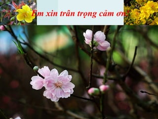 Em xin trân trọng cảm ơn!
 