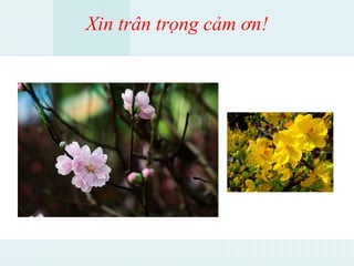Xin trân trọng cảm ơn!
 