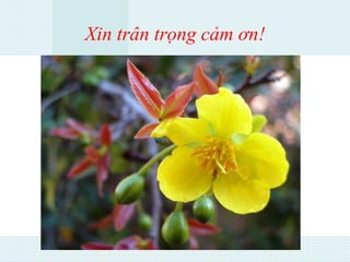 Xin trân trọng cảm ơn!
 