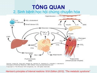 TỔNG QUAN
2. Sinh bệnh học hội chứng chuyển hóa
Harrison's principles of Internal medicine 18 th Edition (2012), "The metabolic syndrome"
 