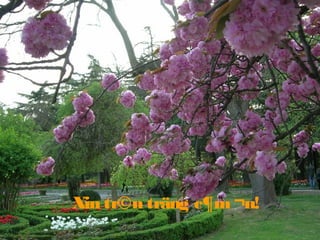 Xin tr©n träng c¶m¬n!
 