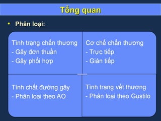 Tổng quanTổng quan
• Phân loại:Phân loại:
 
