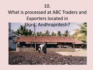 10.
What is processed at ABC Traders and
         Exporters located in
        Eluru, Andhraprdesh?
 