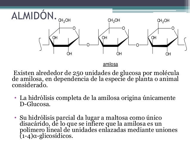 Bioquimica Carbohidratos