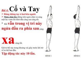 Bài 4: Cổ và Tay Đứng thẳng tay ở hai bên người.
 Nhón chân lên (đứng trên ngón chân và cùng
một lúc vươn lên khỏi đầu càng cao càng tốt.

Rồi vẫn trong vị trí này
ngửa đầu ra phía saucàng
xacàng tốt.
Giữ tư thế này trong khoảng vài giây trước khi trở
về tư thế ban đầu.
Tập động tác này 10 lần.
 