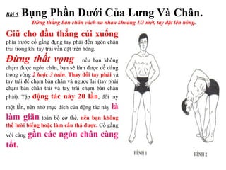 Giữ cho đầu thẳng cúi xuống
phía trước cố gắng đụng tay phải đến ngón chân
trái trong khi tay trái vẫn đặt trên hông.
Đừng thất vọng nếu bạn không
chạm được ngón chân, bạn sẽ làm được dễ dàng
trong vòng 2 hoặc 3 tuần. Thay đổi tay phải và
tay trái để chạm bàn chân và ngược lại (tay phải
chạm bàn chân trái và tay trái chạm bàn chân
phải). Tập động tác này 20 lần, đổi tay
một lần, nên nhớ mục đích của động tác này là
làm giãn toàn bộ cơ thể, nên bạn không
thể lười biếng hoặc làm cẩu thả được. Cố gắng
với càng gần các ngón chân càng
tốt.
Bài 5. Bụng Phần Dưới Của Lưng Và Chân.
Đứng thẳng bàn chân cách xa nhau khoảng 1/3 mét, tay đặt lên hông.
 