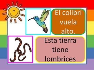 Esta tierra
tiene
lombrices
El colibrí
vuela
alto.
 