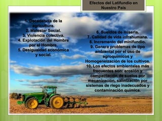Efectos del Latifundio en
Nuestro País
1. Decadencia de la
agricultura.
2. Malestar Social.
3. Violencia colectiva.
4. Explotación del Hombre
por el Hombre.
5. Desigualdad económica
y social.
6. Sueldos de miseria.
7. Calidad de vida infrahumana.
8. Incremento del minifundio.
9. Genera problemas de tipo
ambiental por el uso de
agroquímicos y
Homogeneización de los cultivos.
10. Los efectos ambientales más
frecuentes son: erosión y
compactación de suelos por
mecanización, salinización por
sistemas de riego inadecuados y
contaminación química.
 