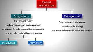 Sexual selection (mating behavior) | PPTX