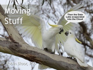 Then the Data
Lake evaporated
into the Cloud
Moving
Stuff
Robin Bloor, PhD
 