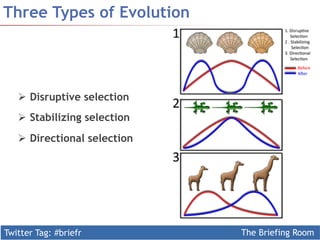 Twitter Tag: #briefr The Briefing Room
Three Types of Evolution
Ø  Disruptive selection
Ø  Stabilizing selection
Ø  Directional selection
 