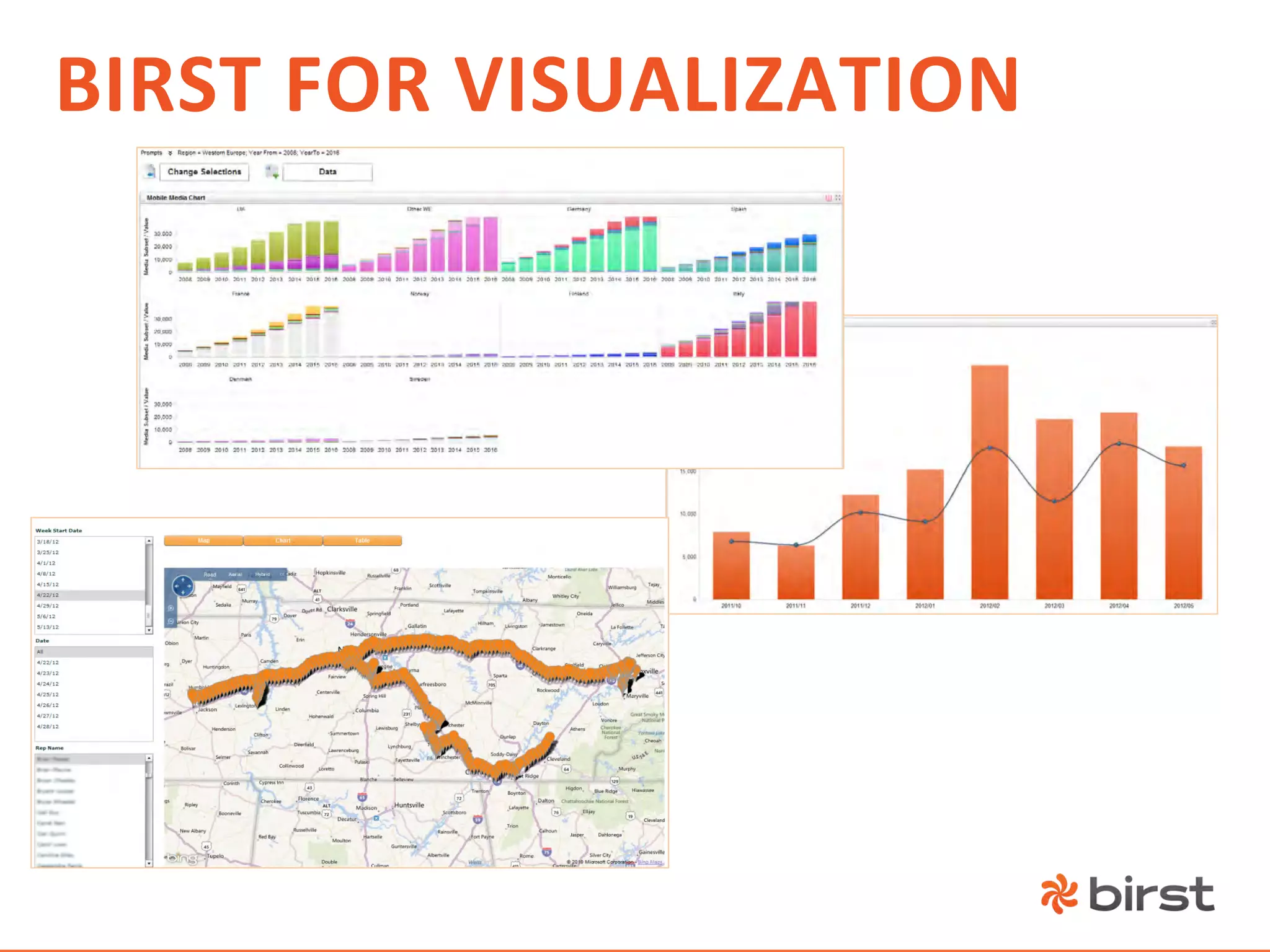 BIRST	
  FOR	
  VISUALIZATION	
  
 