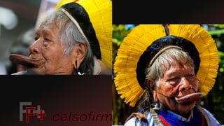 Brasil pré colonial: Povos indígenas 2021