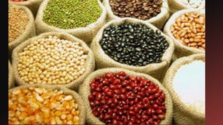 Brasil pré colonial: Povos indígenas 2021