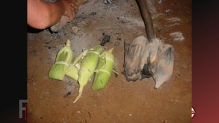 Brasil pré colonial: Povos indígenas 2021