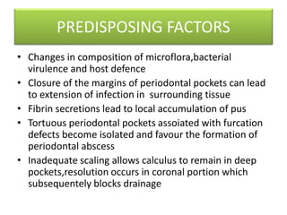 PREDISPOSING FACTORS
• Changes in composition of microflora,bacterial
virulence and host defence
• Closure of the margins of periodontal pockets can lead
to extension of infection in surrounding tissue
• Fibrin secretions lead to local accumulation of pus
• Tortuous periodontal pockets assoiated with furcation
defects become isolated and favour the formation of
periodontal abscess
• Inadequate scaling allows calculus to remain in deep
pockets,resolution occurs in coronal portion which
subsequentely blocks drainage
 