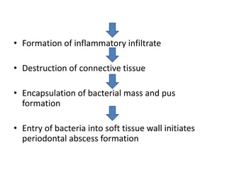 • Formation of inflammatory infiltrate
• Destruction of connective tissue
• Encapsulation of bacterial mass and pus
formation
• Entry of bacteria into soft tissue wall initiates
periodontal abscess formation
 