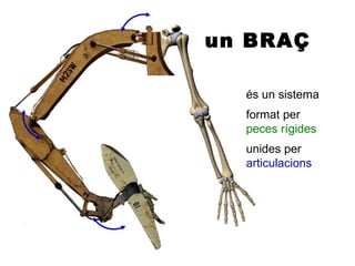 un BRAÇ

  és un sistema
  format per
  peces rígides
  unides per
  articulacions
 