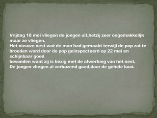 Braamsluiper powerpoint