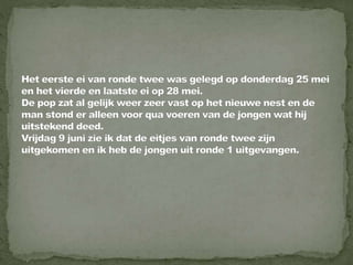 Braamsluiper powerpoint