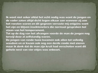 Braamsluiper powerpoint