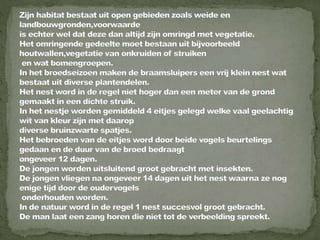 Braamsluiper powerpoint