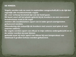 Braamsluiper powerpoint