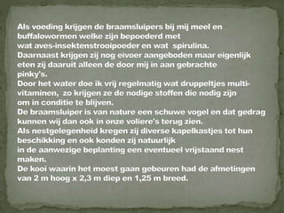 Braamsluiper powerpoint