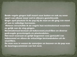 Braamsluiper powerpoint