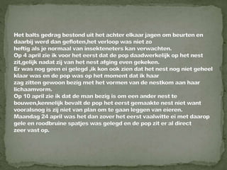 Braamsluiper powerpoint