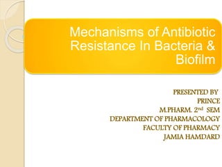 Mechanisms of Antibiotic
Resistance In Bacteria &
Biofilm
PRESENTED BY
PRINCE
M.PHARM. 2nd SEM
DEPARTMENT OF PHARMACOLOGY
FACULTY OF PHARMACY
JAMIA HAMDARD
 