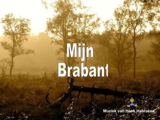 Mijn Brabant Muziek van Henk Habraken 