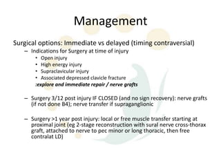 Brachial plexus | PPTX