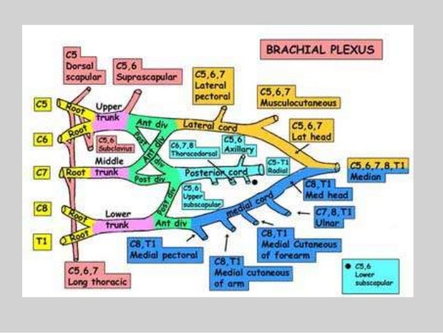 Enterprise Architecture and New