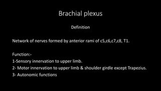 Brachial plexus
Definition
Network of nerves formed by anterior rami of c5,c6,c7,c8, T1.
Function:-
1-Sensory innervation to upper limb.
2- Motor innervation to upper limb & shoulder girdle except Trapezius.
3- Autonomic functions
 