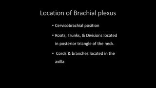 Location of Brachial plexus
• Cervicobrachial position
• Roots, Trunks, & Divisions located
in posterior triangle of the neck.
• Cords & branches located in the
axilla
 