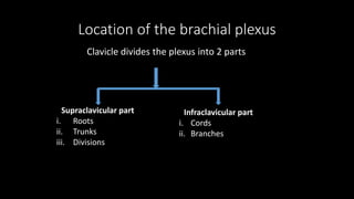 Location of the brachial plexus
Clavicle divides the plexus into 2 parts
Infraclavicular part
i. Cords
ii. Branches
Supraclavicular part
i. Roots
ii. Trunks
iii. Divisions
 