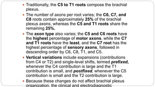  Traditionally, the C5 to T1 roots compose the brachial
plexus.
 The number of axons per root varies; the C6, C7, and
C8 roots contain approximately 25% of the brachial
plexus axons, whereas the C5 and T1 roots share the
remaining 25%.
 The axon type also varies; the C5 and C6 roots have
the highest percentage of motor axons, while the C7
and T1 roots have the least, and the C7 root has the
highest percentage of sensory axons, followed in
descending order by C6, C8, T1, and C5.
 Vertical variations include expansions (contributions
from C4 or T2) and single-level shifts, termed prefixed,
whenever the C4 contribution is large and the T1
contribution is small, and postfixed, whenever the C5
contribution is small and the T2 contribution is large.
 Because these changes do not affect brachial plexus
organization, the clinical and electrodiagnostic
 
