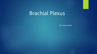 Brachial Plexus
Dr Imran Irshad
 