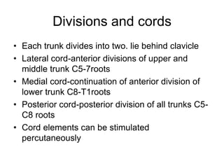 Divisions and cords
• Each trunk divides into two. lie behind clavicle
• Lateral cord-anterior divisions of upper and
middle trunk C5-7roots
• Medial cord-continuation of anterior division of
lower trunk C8-T1roots
• Posterior cord-posterior division of all trunks C5-
C8 roots
• Cord elements can be stimulated
percutaneously
 