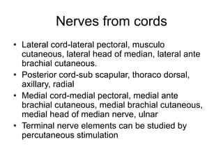 Nerves from cords
• Lateral cord-lateral pectoral, musculo
cutaneous, lateral head of median, lateral ante
brachial cutaneous.
• Posterior cord-sub scapular, thoraco dorsal,
axillary, radial
• Medial cord-medial pectoral, medial ante
brachial cutaneous, medial brachial cutaneous,
medial head of median nerve, ulnar
• Terminal nerve elements can be studied by
percutaneous stimulation
 