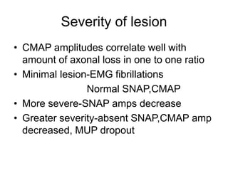 Severity of lesion
• CMAP amplitudes correlate well with
amount of axonal loss in one to one ratio
• Minimal lesion-EMG fibrillations
Normal SNAP,CMAP
• More severe-SNAP amps decrease
• Greater severity-absent SNAP,CMAP amp
decreased, MUP dropout
 