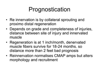 Prognostication
• Re innervation is by collateral sprouting and
proximo distal regeneration
• Depends on grade and completeness of injuries,
distance between site of injury and innervated
muscle
• Regeneration is at 1 inch/month, denervated
muscle fibers survive for 18-24 months. so
distance more than 2 feet bad prognosis
• Reinnervation normalises CMAP amps but alters
morphology and recruitment
 