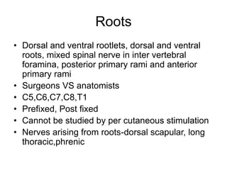 Roots
• Dorsal and ventral rootlets, dorsal and ventral
roots, mixed spinal nerve in inter vertebral
foramina, posterior primary rami and anterior
primary rami
• Surgeons VS anatomists
• C5,C6,C7,C8,T1
• Prefixed, Post fixed
• Cannot be studied by per cutaneous stimulation
• Nerves arising from roots-dorsal scapular, long
thoracic,phrenic
 